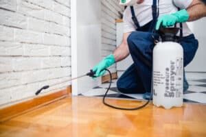 A person from Stat Pest Control, wearing green gloves and overalls, kneels on the floor, using a sprayer to apply pest control solution along the edge where the wooden floor meets a tiled area.