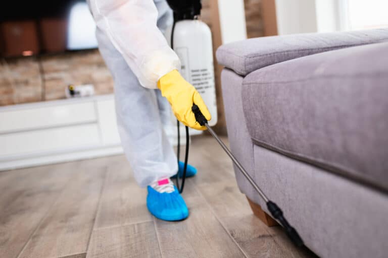 A technician from Stat Pest Control, dressed in protective clothing with yellow gloves and blue shoe covers, sprays near the base of a gray sofa in a living room, likely performing pest control or cleaning.