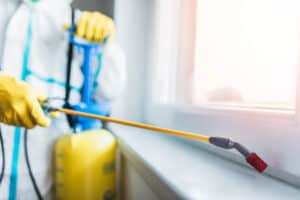 A person wearing yellow gloves and protective gear sprays a liquid from a yellow canister with a long nozzle near a window, likely performing pest control or disinfection as part of Stat Pest Control services.